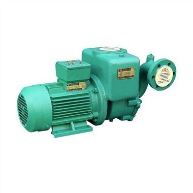 Marine Süßwasser Wirbelpumpe CWX